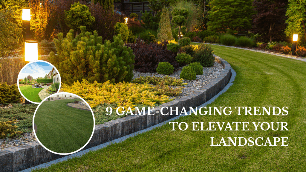 Outdoor Lighting Ideas: 9 Stunning Ways to Elevate Your Yard