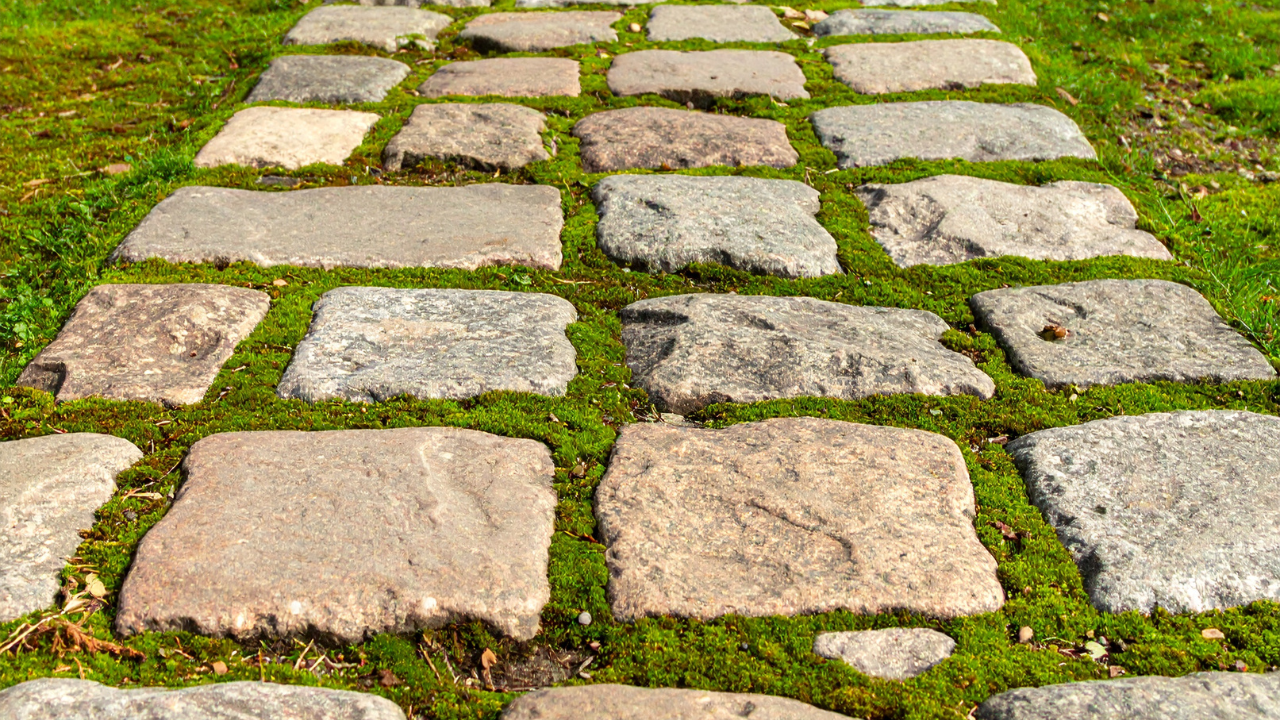 Hardscaping Portland